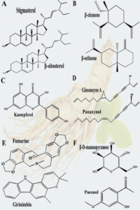 210 2024 3186 Fig2 HTML