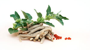 تأثیرات آشواگاندا بر استرس