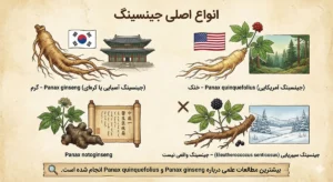 خواص جینسینگ 2 kind of ginseng